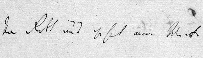 handschrift 313/2 - ausschnitt