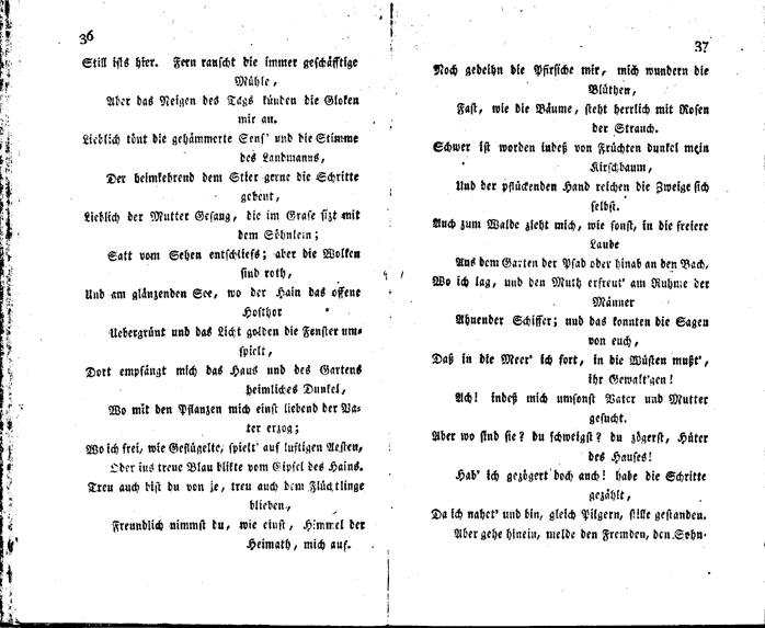 flora 1801 - p 36/37